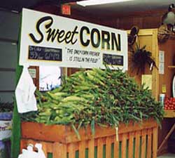 Sweet Corn Festival